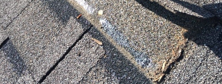 Is Your Roof Leaking?
